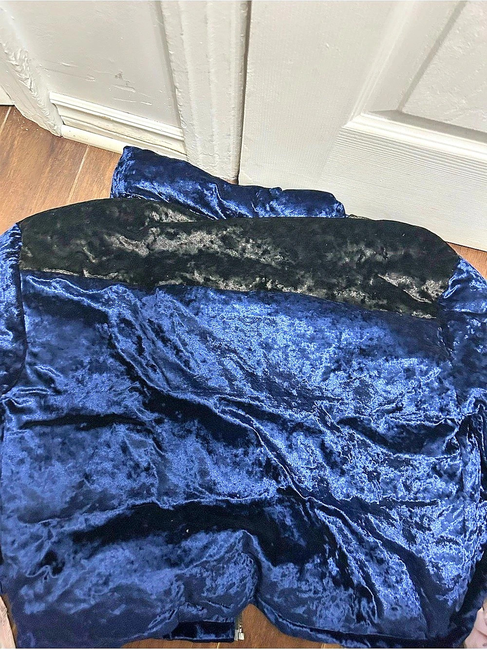 Blue Velvet-Textured Jacket - Picture 2 of 2
